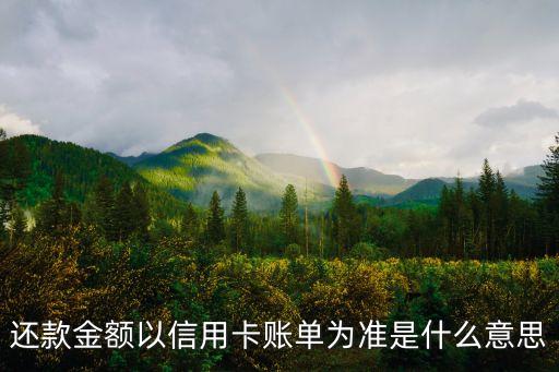 还款金额以信用卡账单为准是什么意思