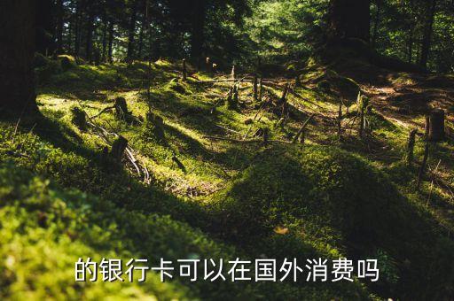 的银行卡可以在国外消费吗