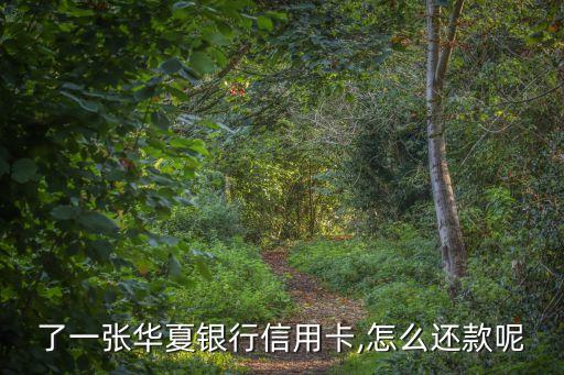 了一张华夏银行信用卡,怎么还款呢