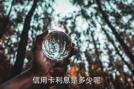 招商银行信用卡3期减50,招商银行信用卡的免息期是多久
