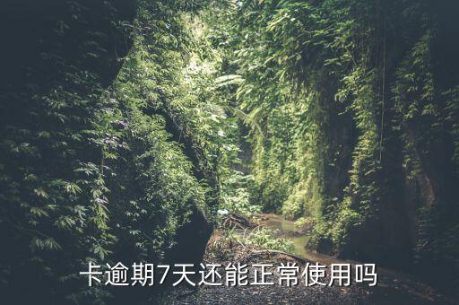 卡逾期7天还能正常使用吗