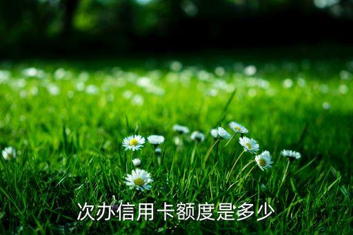 次办信用卡额度是多少