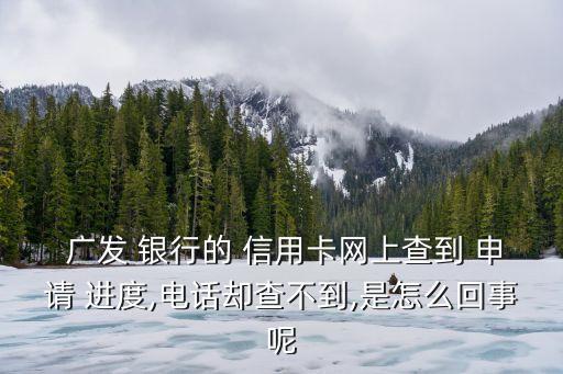  广发 银行的 信用卡网上查到 申请 进度,电话却查不到,是怎么回事呢