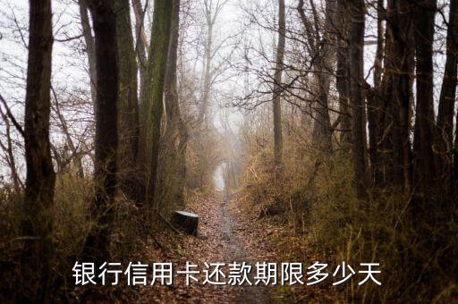 农村信用卡还款日是几日,中国农业银行信用卡的还款日期是哪天