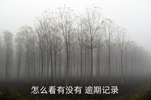 怎么看有没有 逾期记录