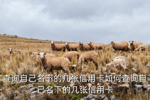 查询自己名下的几张信用卡如何查询自己名下的几张信用卡