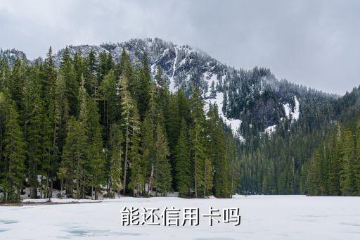 微信里如何绑定信用卡还款,如何使用微信绑定的信用卡支付