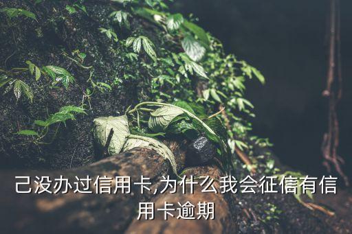 己没办过信用卡,为什么我会征信有信用卡逾期