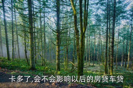 信用卡高额分期影响车贷吗,车贷都是信用卡分期吗