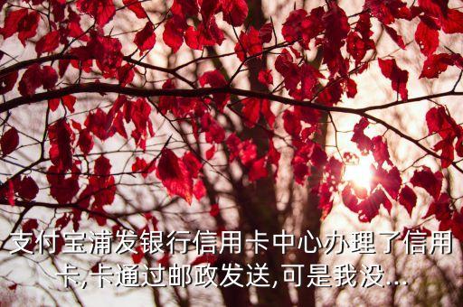 支付宝浦发银行信用卡中心办理了信用卡,卡通过邮政发送,可是我没...