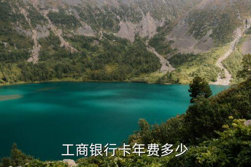 工商银行卡年费多少