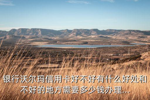 银行沃尔玛信用卡好不好有什么好处和不好的地方需要多少钱办理...