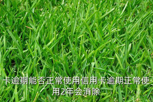 卡逾期能不能用信用卡还款,信用卡逾期还款后还能使用吗
