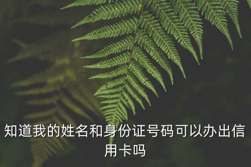 知道我的姓名和身份证号码可以办出信用卡吗