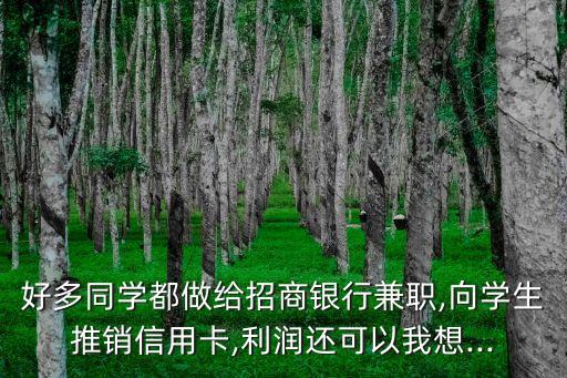 好多同学都做给招商银行兼职,向学生推销信用卡,利润还可以我想...