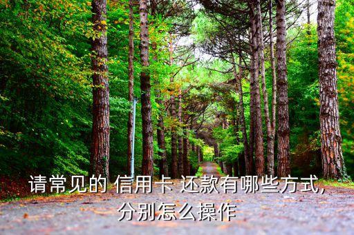 多用信用卡还款方式,信用卡最不建议的还款方式