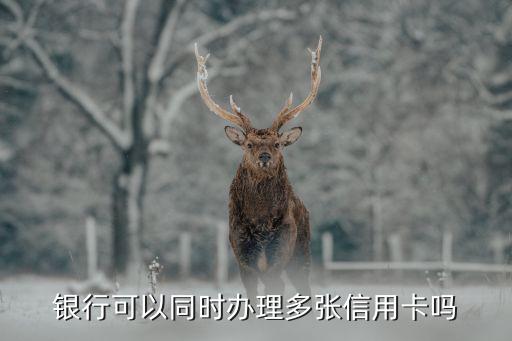银行可以同时办理多张信用卡吗