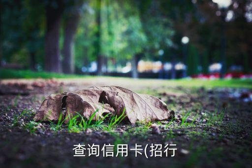 查询信用卡(招行