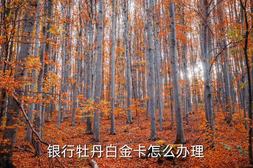银行牡丹白金卡怎么办理