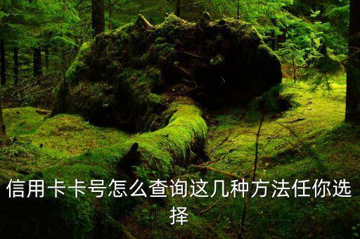 信用卡卡号怎么查询这几种方法任你选择