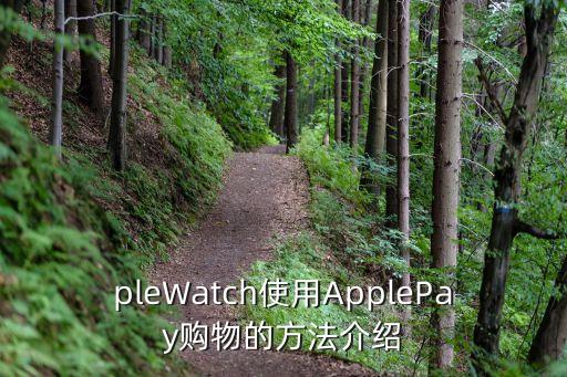 pleWatch使用ApplePay购物的方法介绍