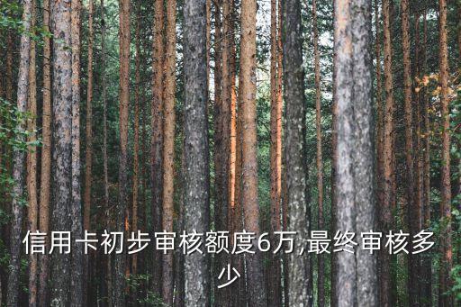 信用卡初步审核额度6万,最终审核多少