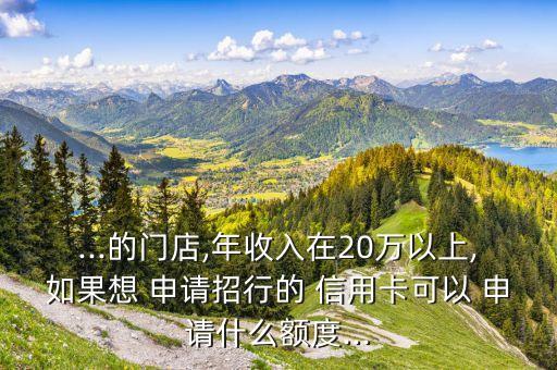 ...的门店,年收入在20万以上,如果想 申请招行的 信用卡可以 申请什么额度...