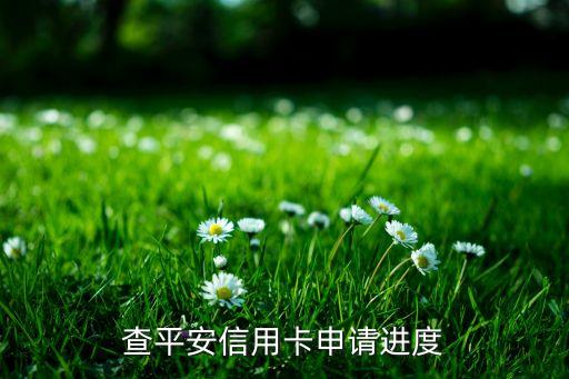 查平安信用卡申请进度