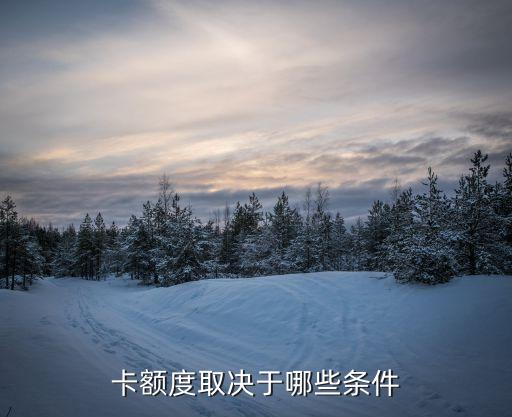 第一张信用卡额度因素,信用卡的额度是多少