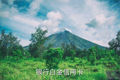 银行白金信用卡