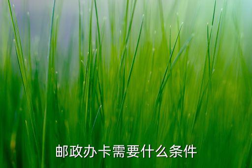邮政办卡需要什么条件