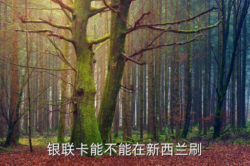 银联卡能不能在新西兰刷