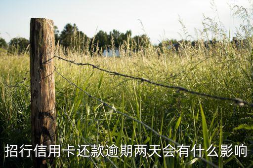 招行信用卡还款逾期两天会有什么影响