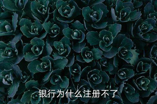 银行为什么注册不了