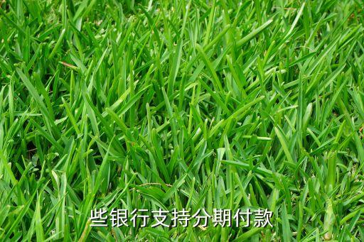 些银行支持分期付款