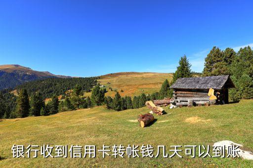 渤海银行信用卡汇款怎么汇,如何通过银行汇款