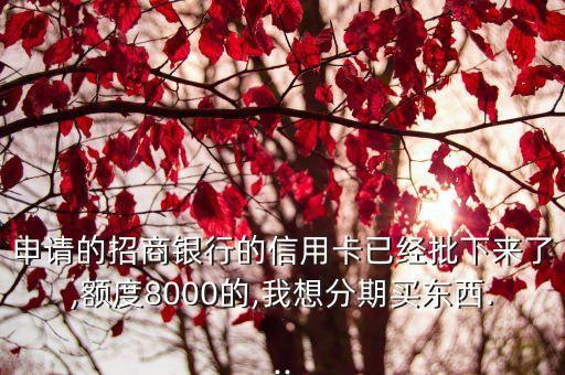 招商银行信用卡分期容易吗,招商银行分期信用卡