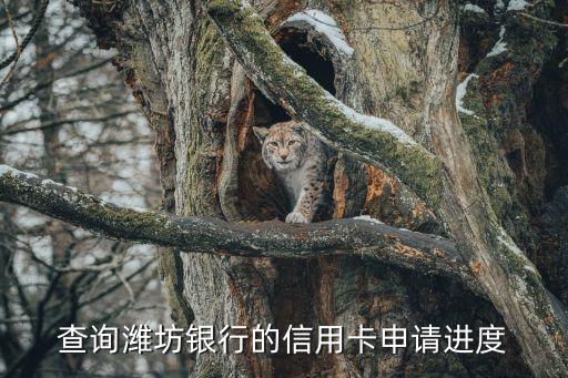 潍坊银行信用卡观影,邮储银行信用卡9元电影