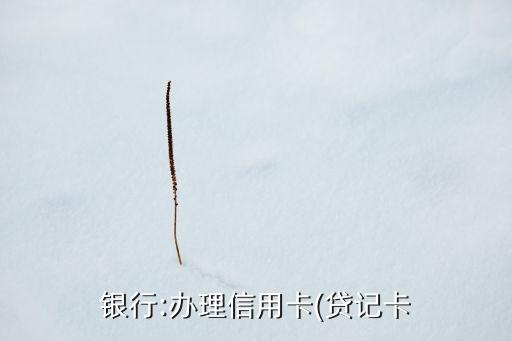 工行英镑信用卡申请条件,工行英镑信用卡