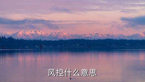 风控什么意思