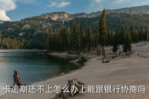 信用卡逾期罚能否协商,如果欠信用卡可以协商吗