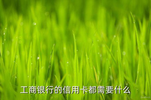 工商银行的信用卡都需要什么