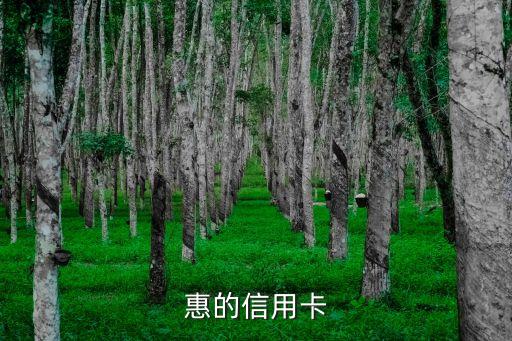 惠的信用卡