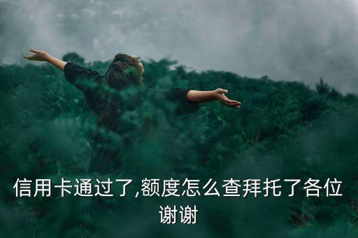 信用卡通过了,额度怎么查拜托了各位谢谢