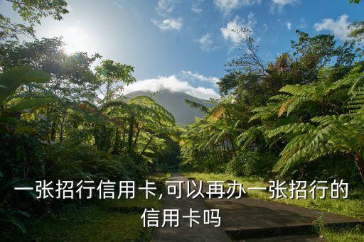 一张招行信用卡,可以再办一张招行的信用卡吗