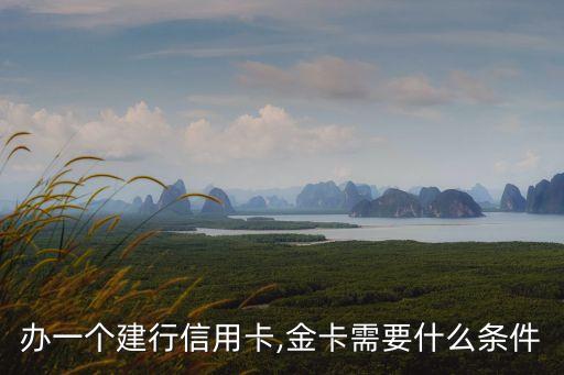 建行大黄蜂信用卡申请条件,中国建设银行大黄蜂信用卡