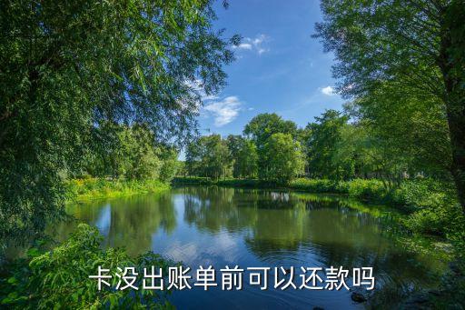卡没出账单前可以还款吗