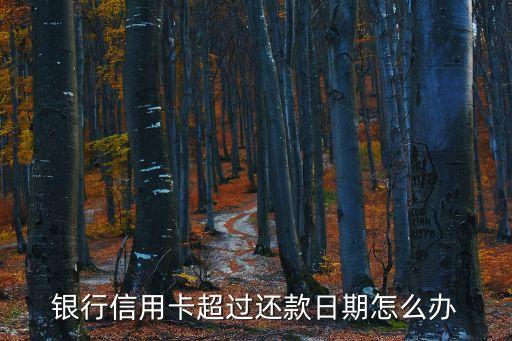 招行信用卡迟三天还款,招商银行晚了两天还信用卡