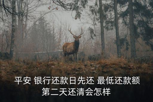 平安银行信用卡直接还最低