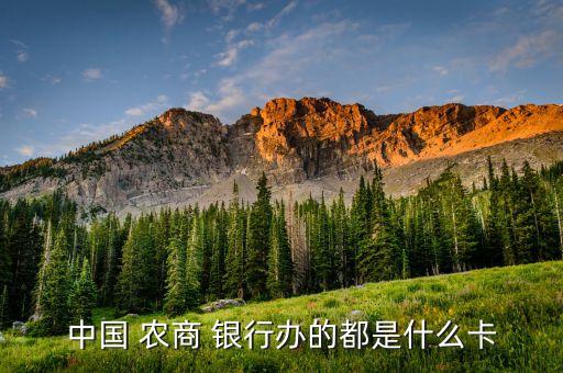 中国 农商 银行办的都是什么卡